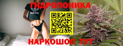 mdpv Анжеро-Судженск